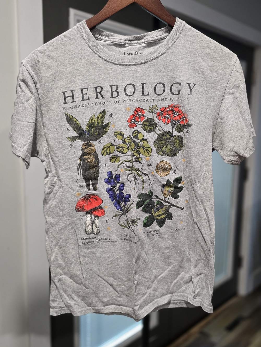 Harry Potter Herbology Botanical Graphic T-Shirt Gray Adult Small